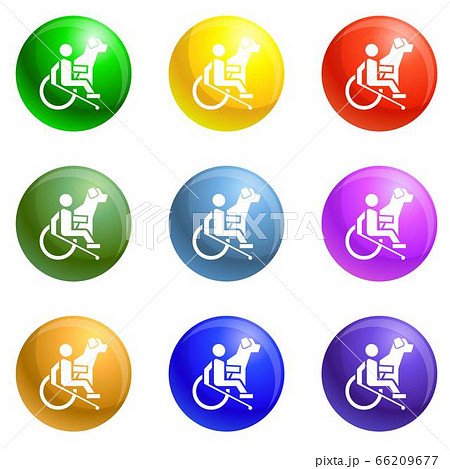 Wheelchair man dog guide icons set vector 66209677