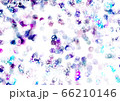 ピンク、パープル系のグランジなグラデーション背景画像 66210146