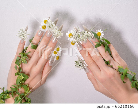 ネイルアートとお花 66210166