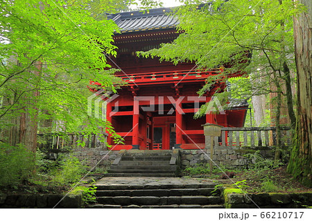 日光市 滝尾神社 楼門 日光市 滝尾神社 楼門 66210717