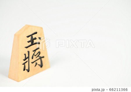 将棋の駒 66211366