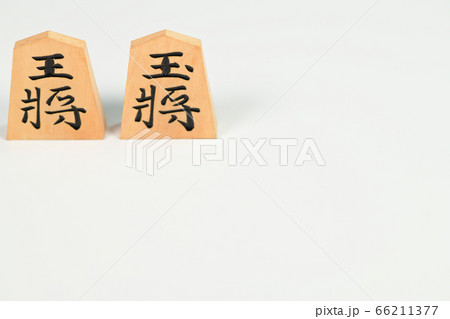 将棋の駒 将棋の駒 66211377
