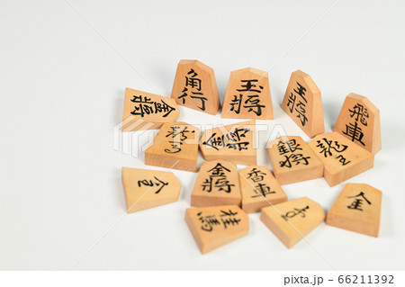 将棋の駒 66211392