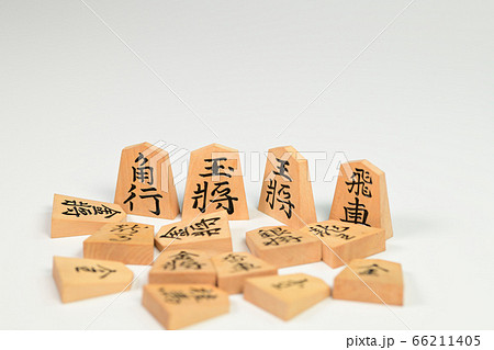 将棋の駒 将棋の駒 66211405