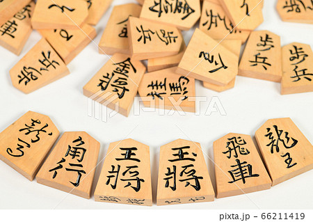 将棋の駒 将棋の駒 66211419