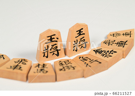 将棋の駒 将棋の駒 66211527