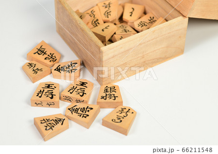 将棋の駒 66211548