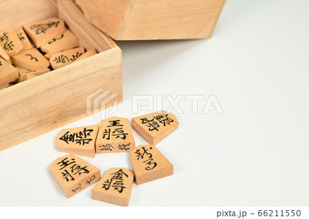 将棋の駒 66211550