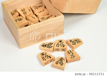 将棋の駒 66211551