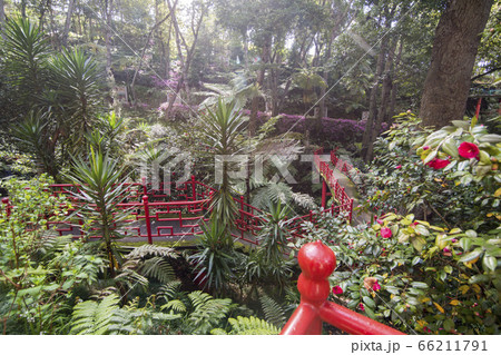 PORTUGAL MADEIRA FUNCHAL JARDIM TROPICAL 66211791