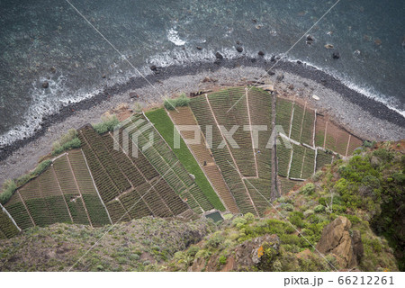PORTUGAL MADEIRA PONTA DO SOL AGRICULTURE 66212261