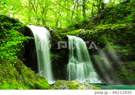 新緑の爽やかな鐘山の滝 66212930