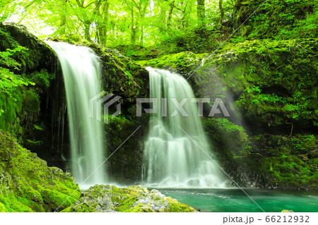 新緑の爽やかな鐘山の滝 新緑の爽やかな鐘山の滝 66212932