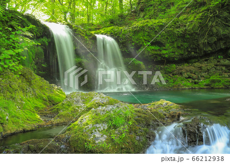 新緑の爽やかな鐘山の滝 66212938