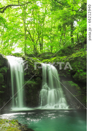 新緑の爽やかな鐘山の滝 66212940
