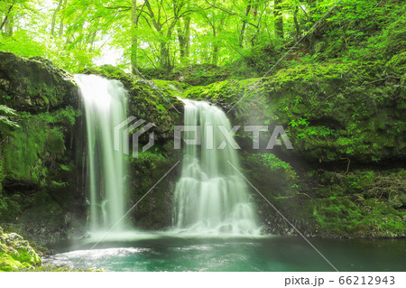 新緑の爽やかな鐘山の滝 66212943