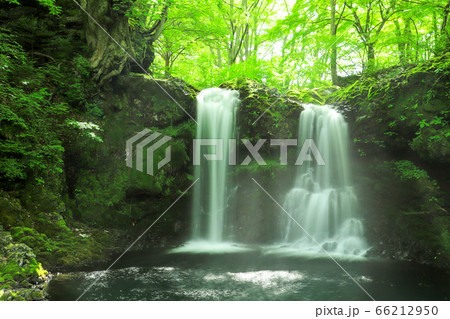 新緑の爽やかな鐘山の滝 66212950