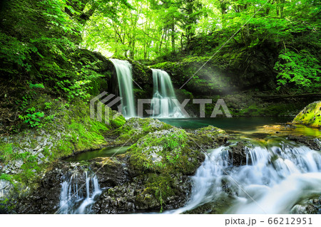 新緑の爽やかな鐘山の滝 66212951