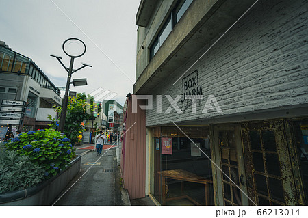 東京の都市風景 渋谷 キャットストリート周辺の風景 66213014