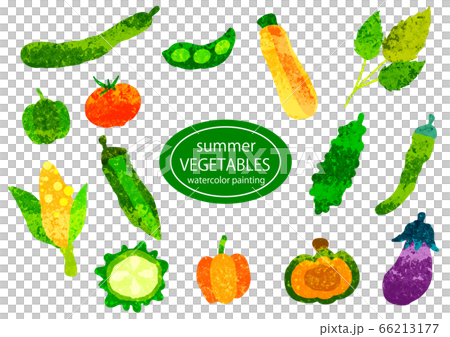 水彩テクスチャの手描き野菜セット 66213177