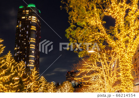 イルミネーションの六本木 東京夜景 イルミネーションの六本木 東京夜景 66214554