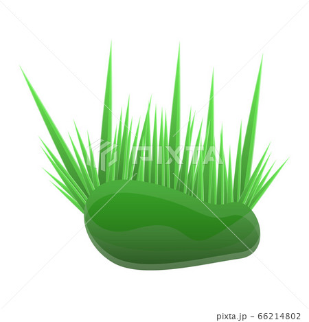 Aquarium grass icon, cartoon style Aquarium grass icon, cartoon style 66214802