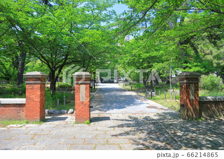 【福岡県】新緑の旧陸軍第十二師団司令部正門跡 【福岡県】新緑の旧陸軍第十二師団司令部正門跡 66214865