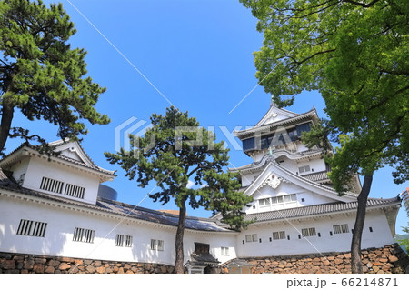 【福岡県】新緑の小倉城天守閣 【福岡県】新緑の小倉城天守閣 66214871