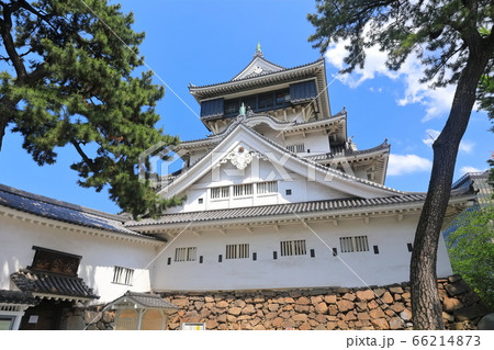 【福岡県】新緑の小倉城天守閣 66214873