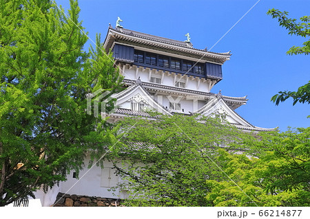 【福岡県】新緑の小倉城天守閣 【福岡県】新緑の小倉城天守閣 66214877
