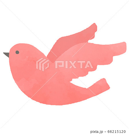 鳥 ピンクのイラスト素材