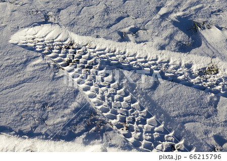 car tire in the snow car tire in the snow 66215796