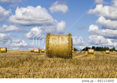 agricultural field agricultural field 66215800