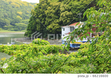 入江(初夏) 入江(初夏) 66216600