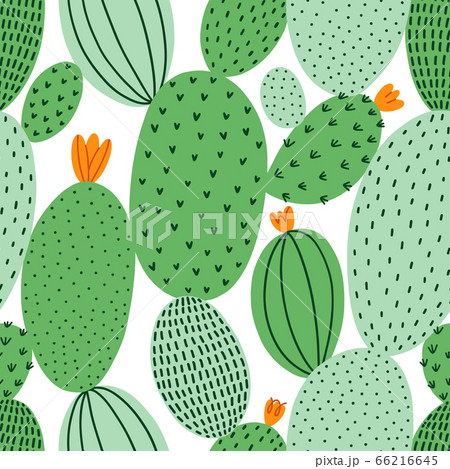 Green doodle cactus vector seamless pattern Green doodle cactus vector seamless pattern 66216645