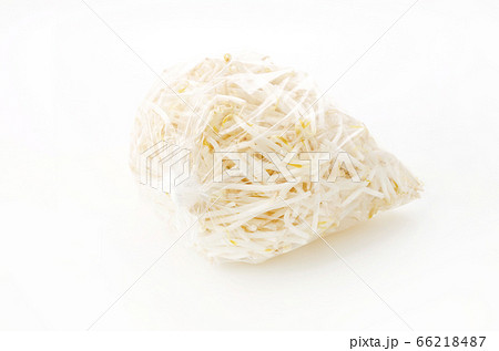 もやし 袋入 66218487