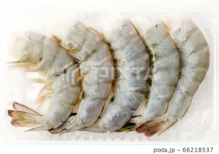 ブラックタイガー（海老） 66218537