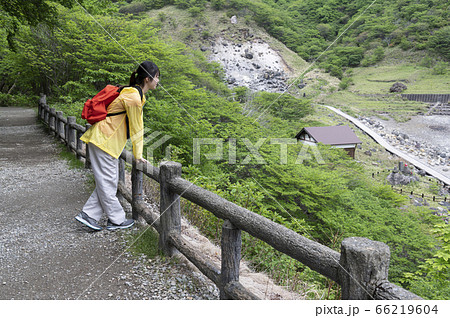高台から遠くの景色を見る女性 高台から遠くの景色を見る女性 66219604