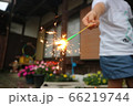 手持ち花火 66219744