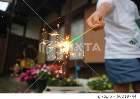 手持ち花火 手持ち花火 66219744