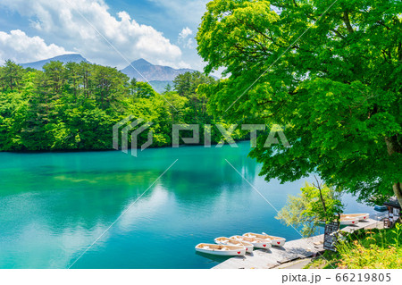初夏の毘沙門沼（五色沼）の風景　新緑と湖面　福島県北塩原村 66219805