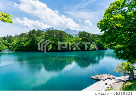 初夏の毘沙門沼（五色沼）の風景　新緑と湖面　福島県北塩原村 66219821