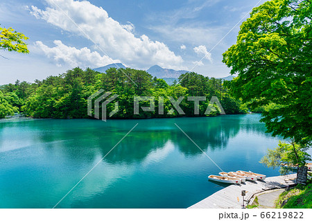 初夏の毘沙門沼(五色沼)の風景 新緑と湖面 福島県北塩原村 初夏の毘沙門沼(五色沼)の風景 新緑と湖面 福島県北塩原村 66219822