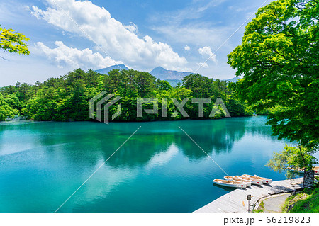 初夏の毘沙門沼(五色沼)の風景 新緑と湖面 福島県北塩原村 初夏の毘沙門沼(五色沼)の風景 新緑と湖面 福島県北塩原村 66219823
