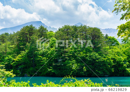 初夏の毘沙門沼（五色沼）の風景　新緑と湖面　福島県北塩原村 66219829