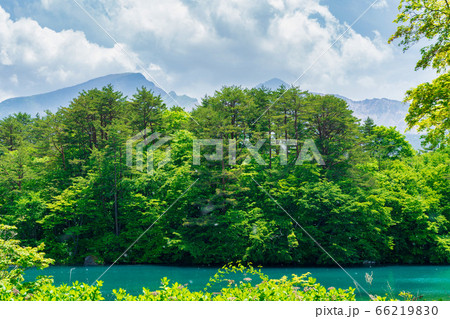 初夏の毘沙門沼（五色沼）の風景　新緑と湖面　福島県北塩原村 66219830