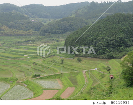 田植えされた初夏の棚田 田植えされた初夏の棚田 66219952
