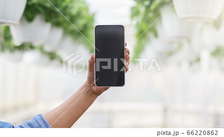 African american woman hand holding smartphone with blank screen in greenhouse with plants in pots African american woman hand holding smartphone with blank screen in greenhouse with plants in pots 66220862