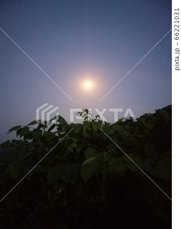自然 夜 夜空 66221031