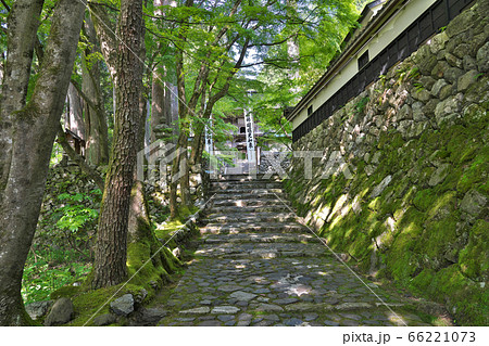 【横蔵寺】 岐阜県揖斐郡揖斐川町谷汲神原 66221073